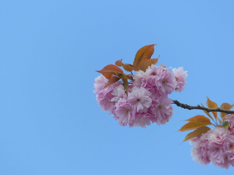 P1420718