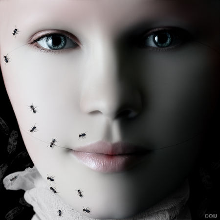 oleg_dou_ants_