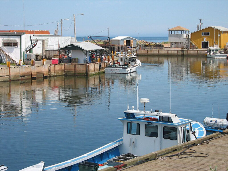 1024px-Prince_edward_island_fish