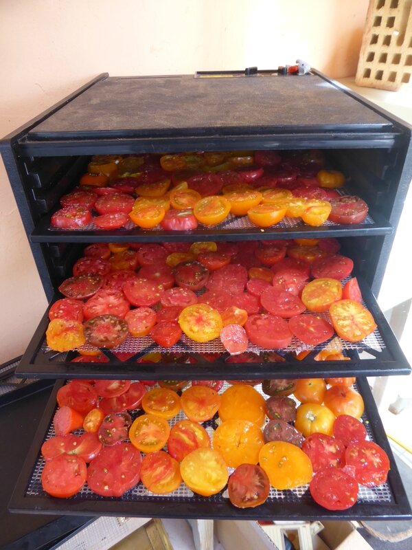 30-tomates séchées (1)