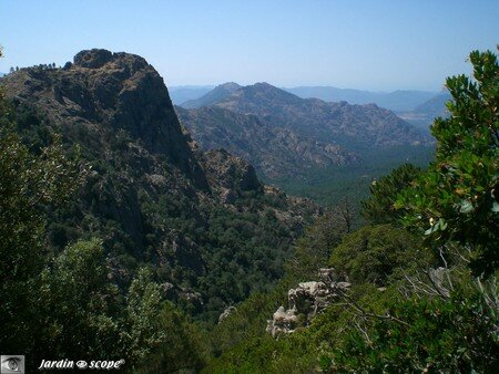 Aux environs du Col de Saint-Eustache (Corse)