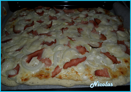 Pizza_roquefort_oignon_jambon_et_p_te_basilic_par_nico____8