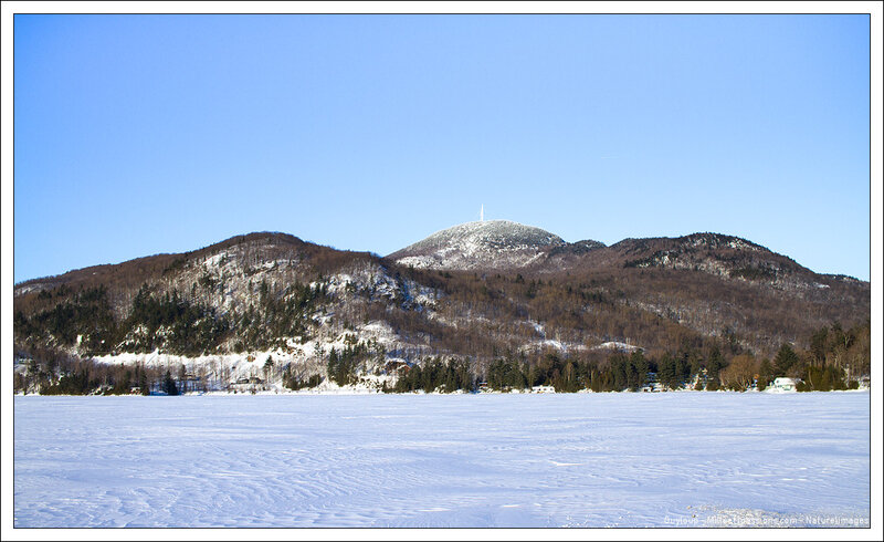 IMG_3333-1-2