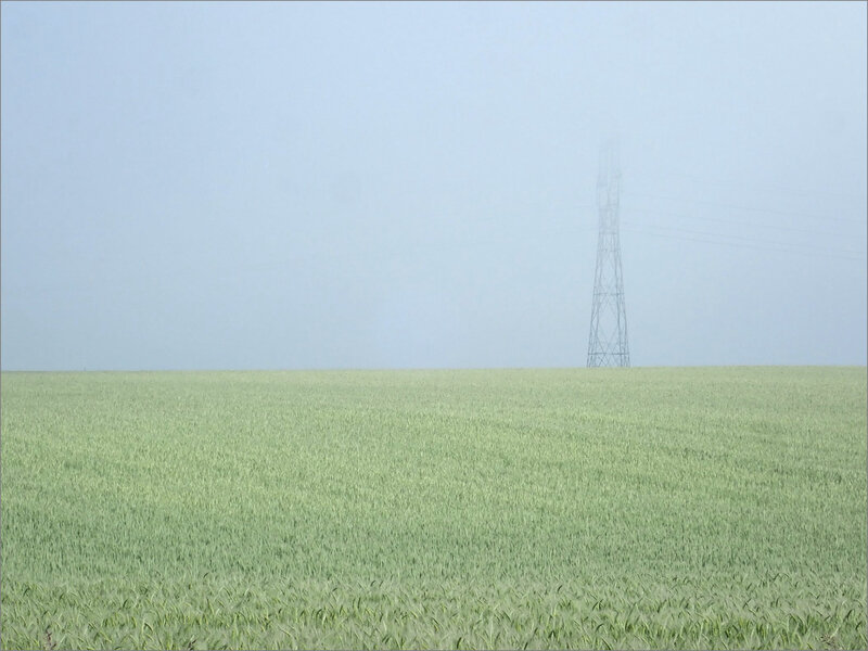 plaine matin brume 1 210519