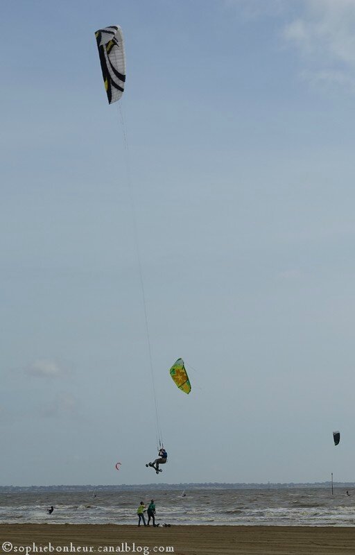 saut