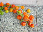 lanternes_oranges