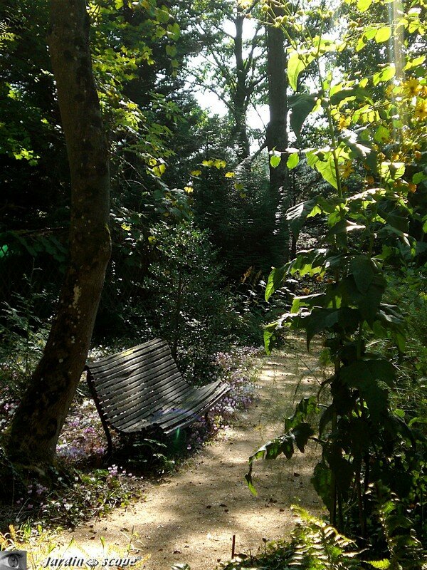 Vieux banc au conservatoire d'Ilex de Meung-sur-Loire (41)