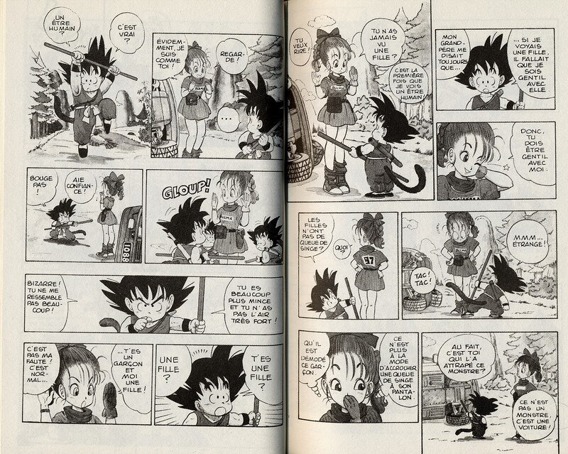 Canalblog Manga Dragonball 02 Edition VF