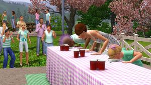 les-sims-3-saisons-pc-1344283099-010