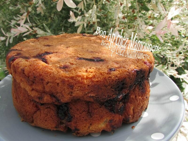 gâteau aux framboises et rhubarbe du jardin 018