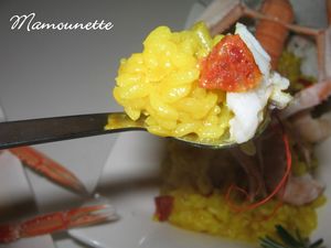 Rizotto_au_curcuma_aux_langoustines_et_chorizo_024