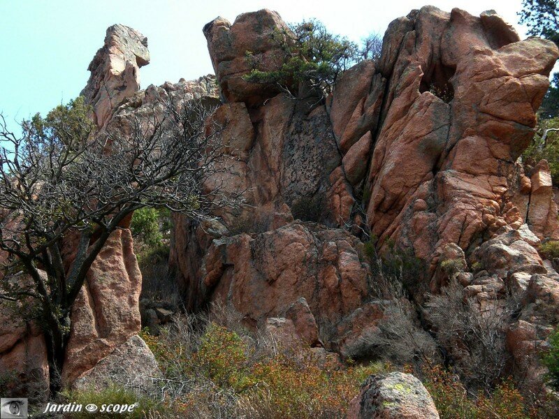 Calanche de Piana - Roche rouge