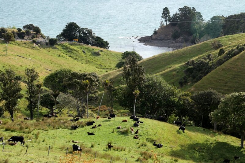 4W7A7482 Route pour Coromandel