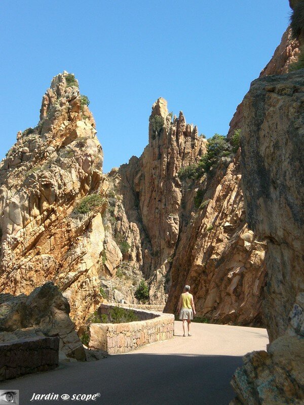 Calanche de Piana - Route sinueuse