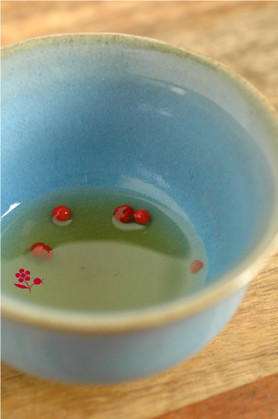Vinaigrette agave + Melfor