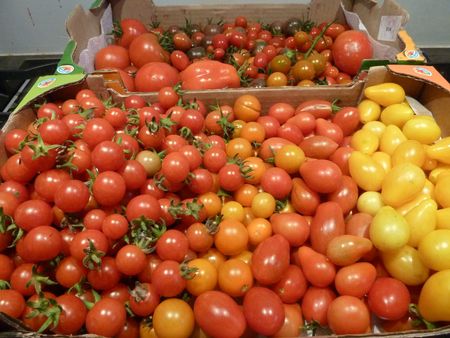 24-TOMATES (3)