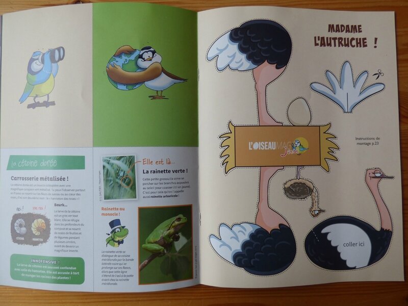 L'oiseau mag Jr (3)
