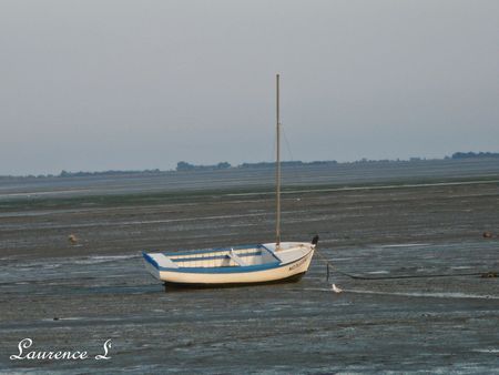 passage_du_gois_049