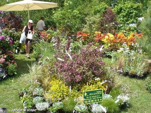 9371_Profusion_de_couleurs