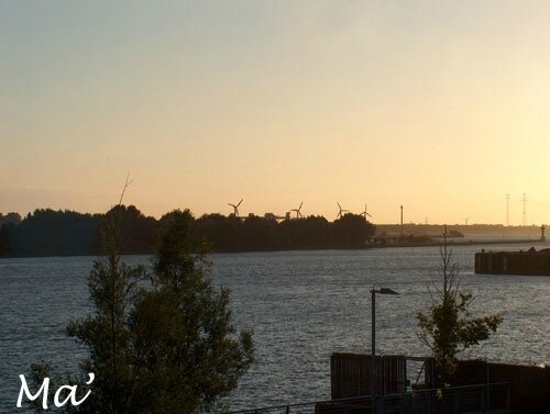 2008_breme-(7)