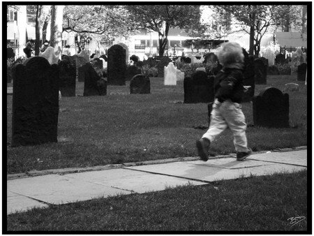 New_York_cemetery