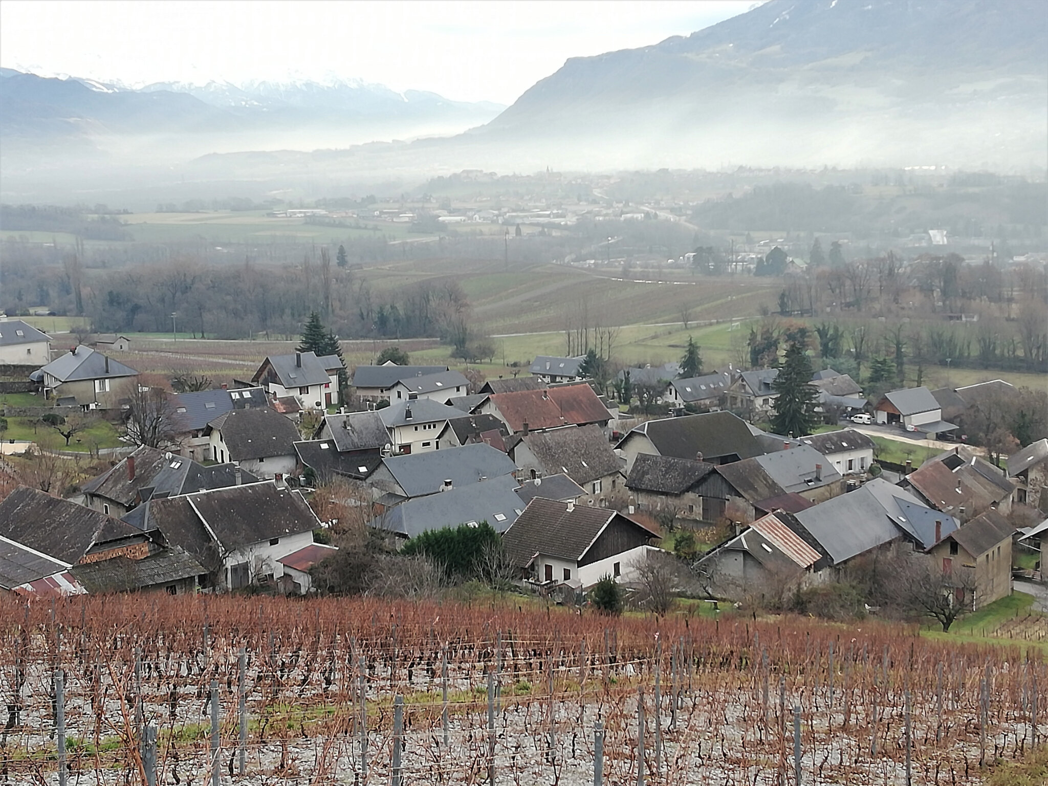 Vignes Chignin 2020 12 17 (14)