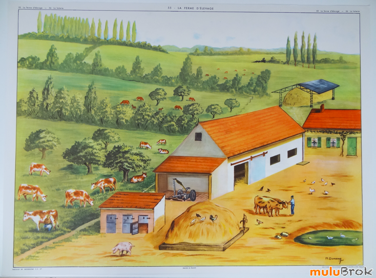 Affiche-FERME-ELEVAGE-Laiterie-6-muluBrok