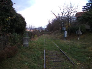 DSCF0735