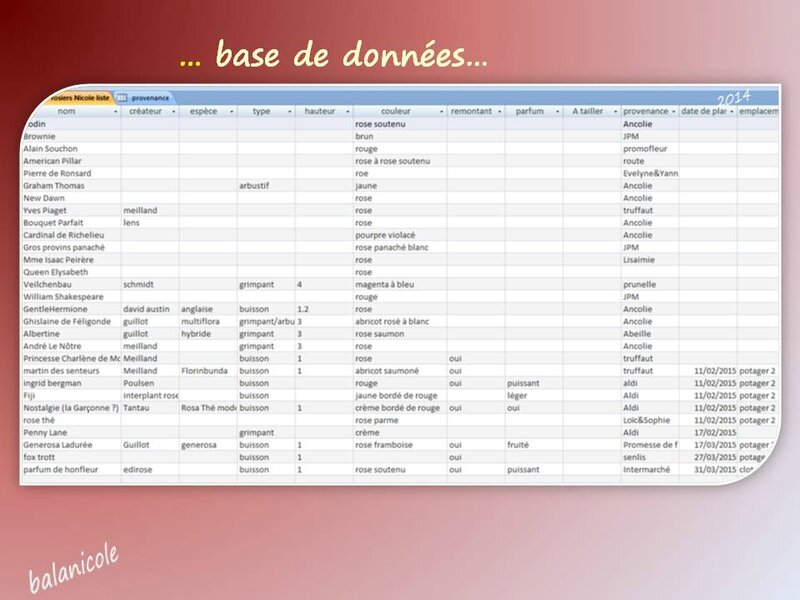 balanicole_2012_13-14_63_base de donnees