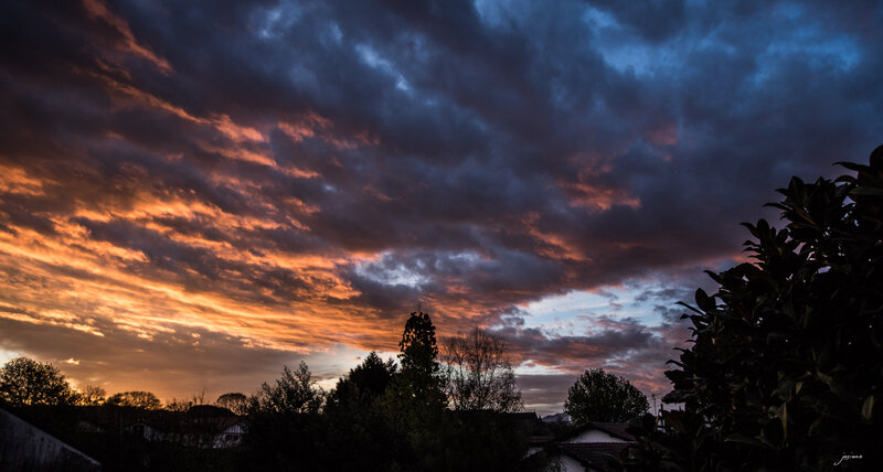 13042018-IMG_3429