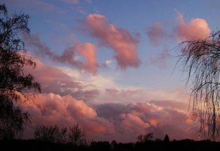 Nuages_roses
