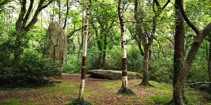 menhirs de Lespurit Ellen 2