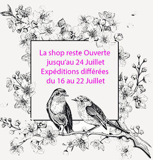 juillet2019