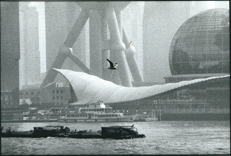 Marc-Riboud-La-colombe