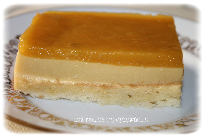 Bavarois passion mangue 9