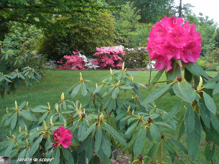 9334_Le_parc_de_Courson