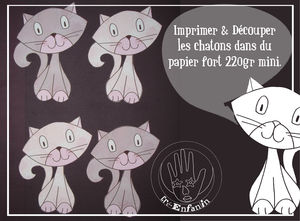PAPCI01