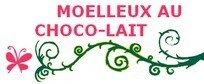 Moelleux au chocolat au lait recettes dessert Le gâteau au chocolat de ma soeur