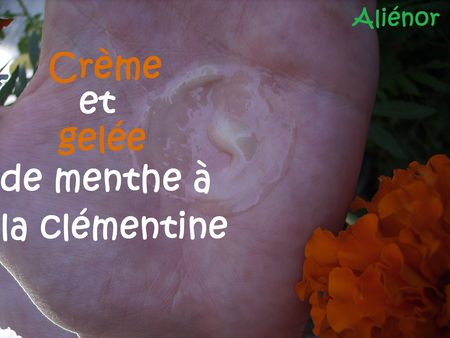 Duo_cr_me_et_gel_e_de_menthe___la_cm_mentine_03