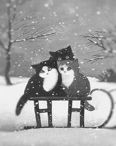 chats sous la neige