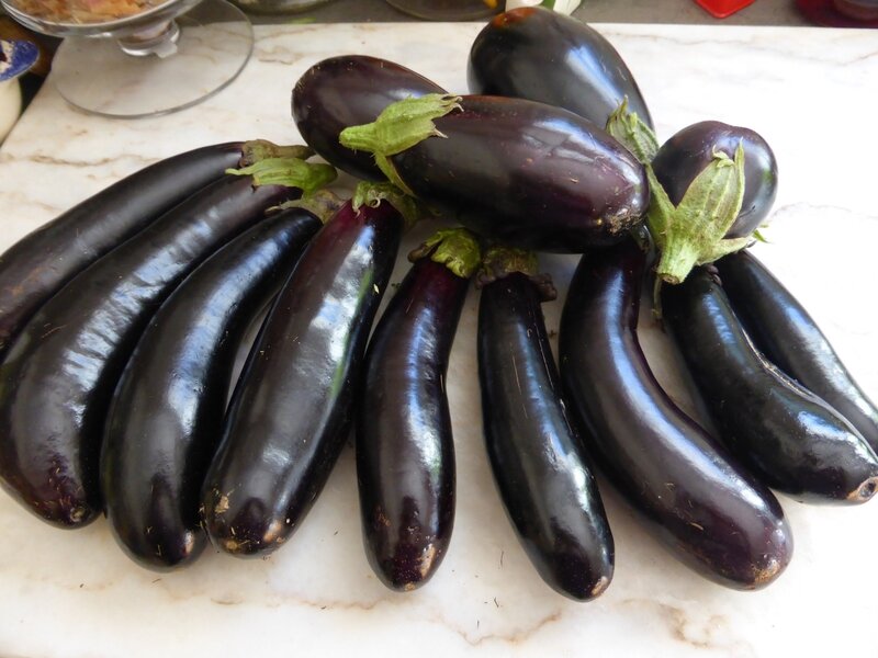 28-aubergines (3)