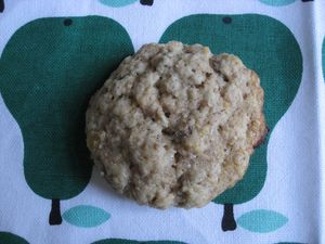 oats_biscuit_close_up