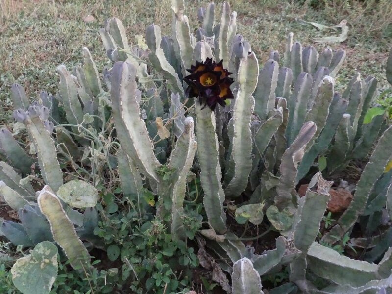 P1060755