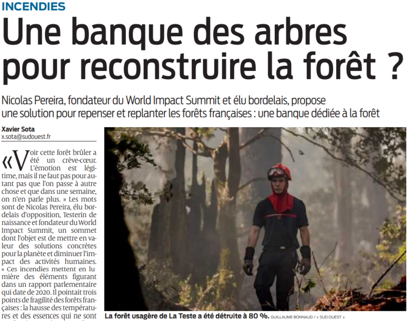 2022 07 27 SO une banque des arbres pour reconstruire la forêt