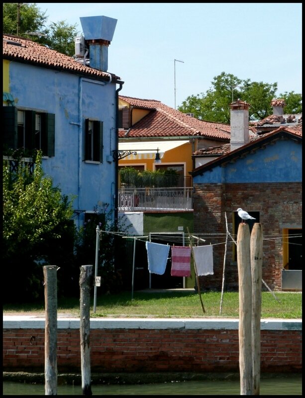 P1550980-001