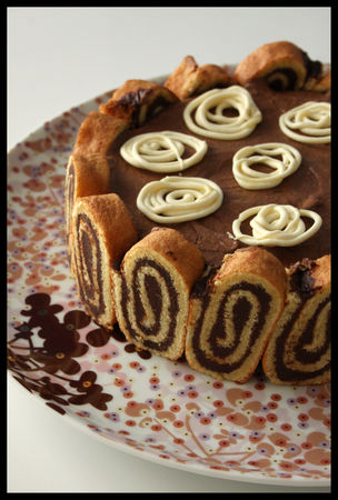 entremets_spiral_1