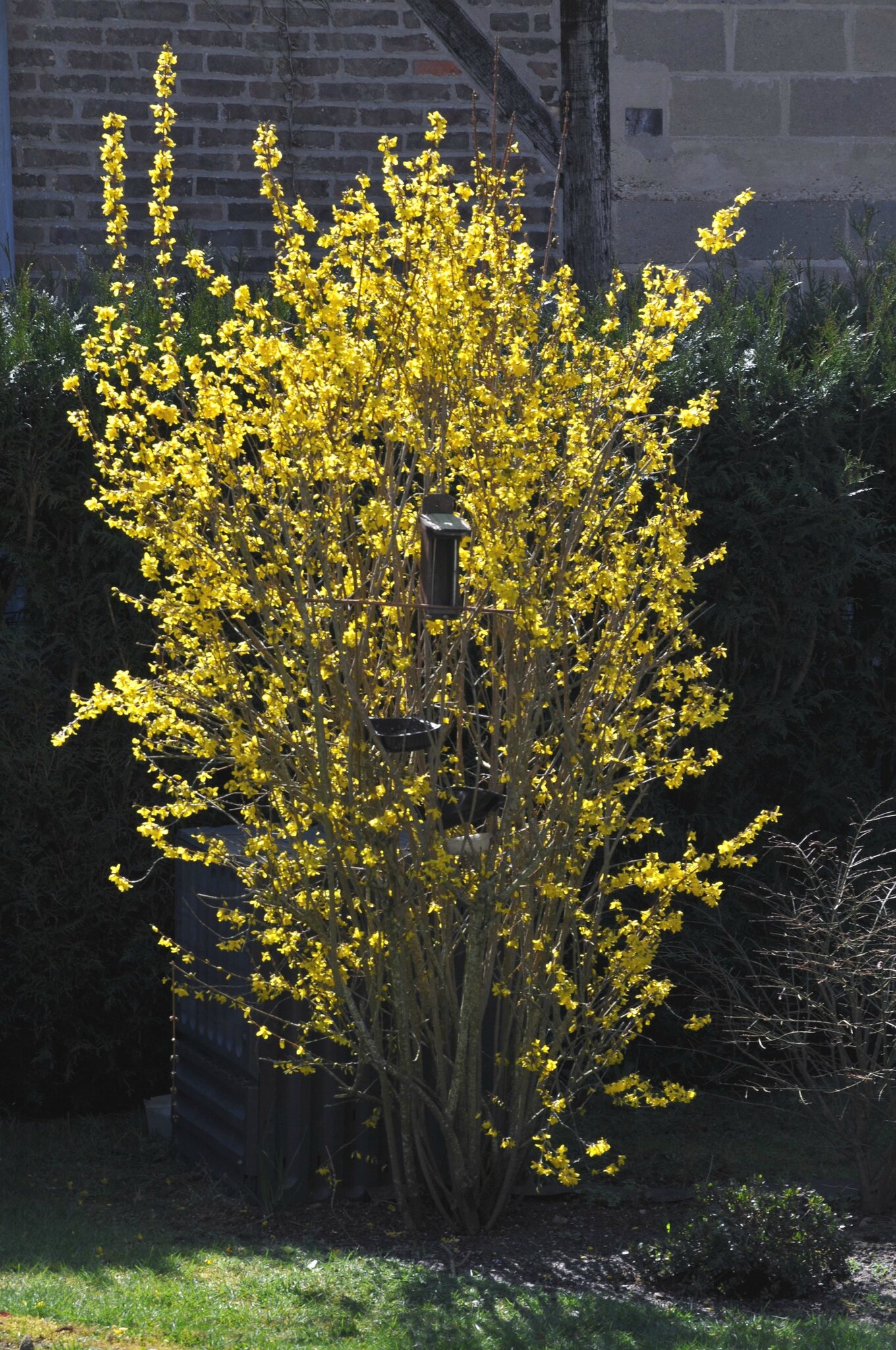 HD3_5608-1
