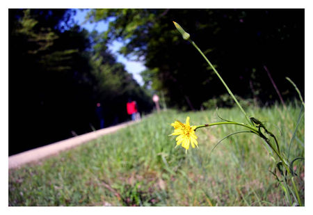 promenade