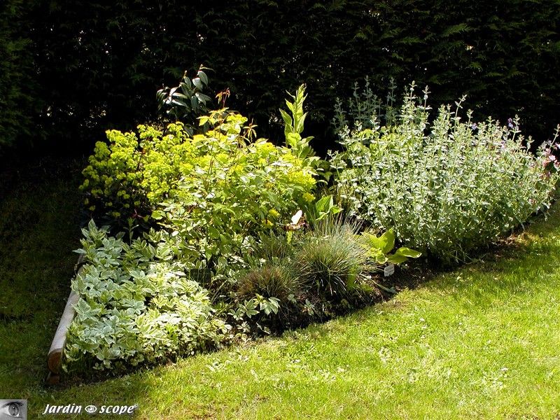 Massif triangulaire, coin ombragé du jardin