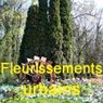 FLEURISSEMENTS URBAINS